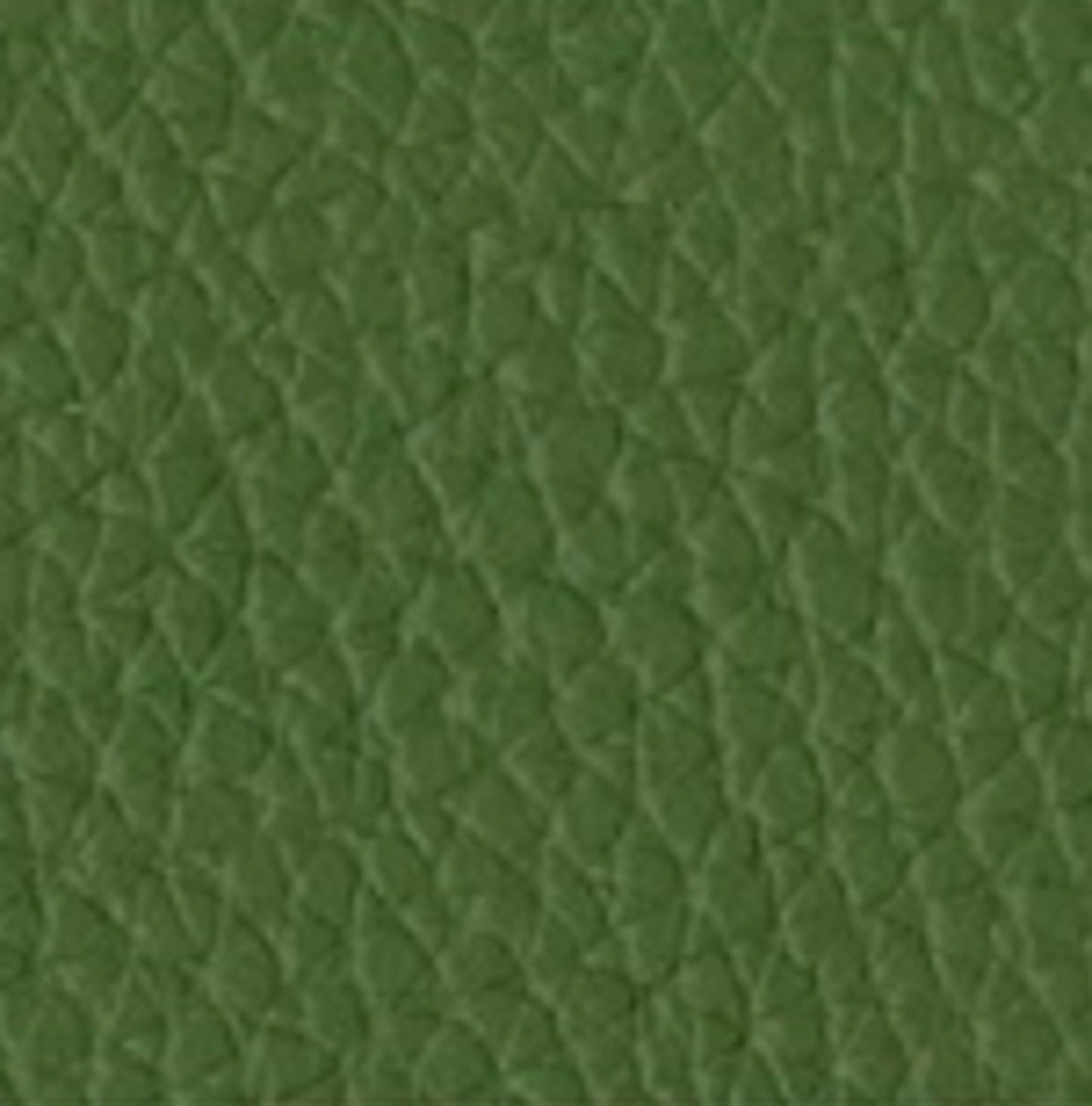 Vintage 35mm Film Camera KONICA C35 | Matcha Green Leather