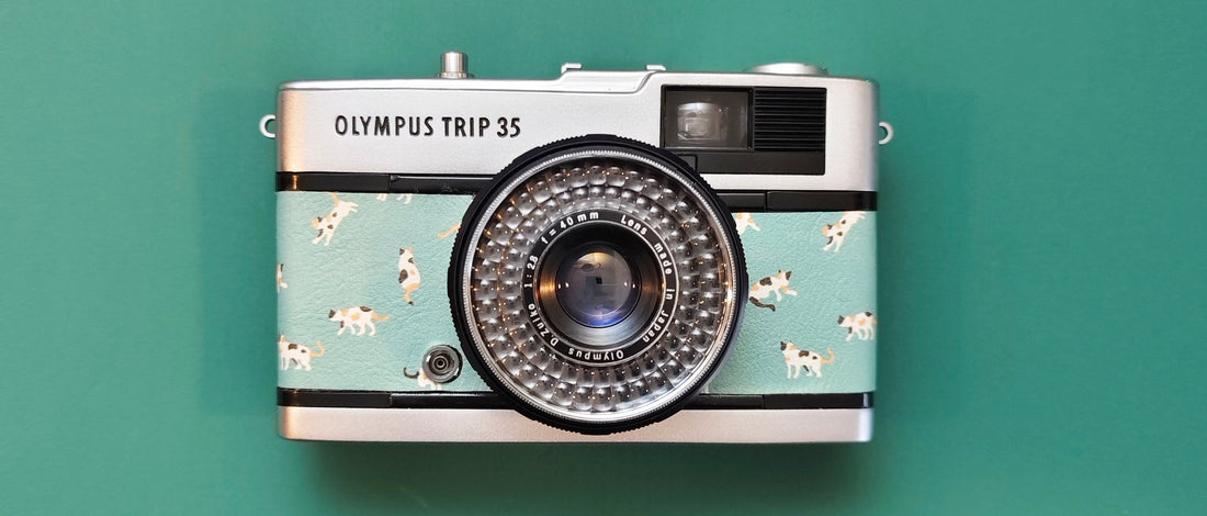 How to Care for Your Film Camera Lens (Without Ruining It)