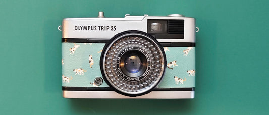 How to Care for Your Film Camera Lens (Without Ruining It)