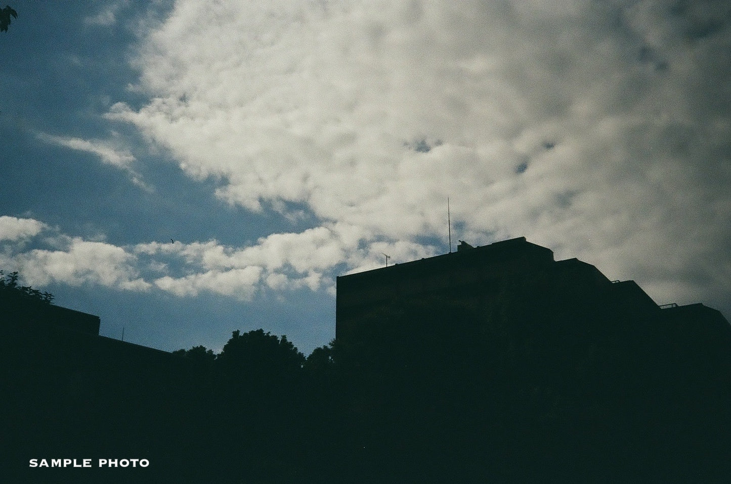 Olympus DC 35 with Deep Navy Leather