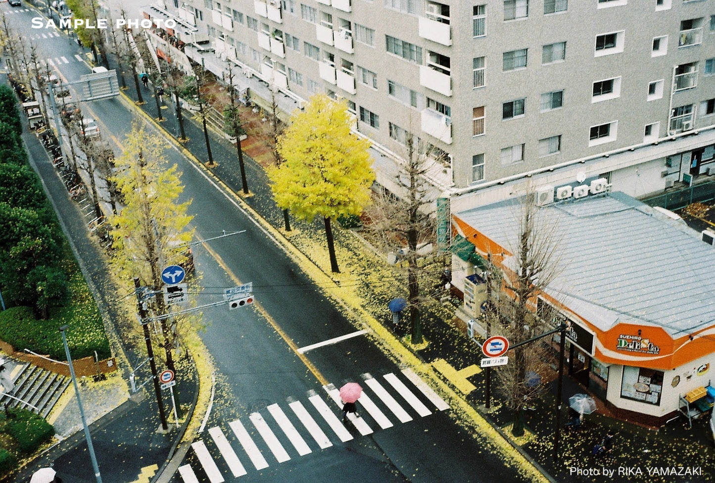 Olympus Trip 35 Vintage 35mm Film Camera | Wasabi Green