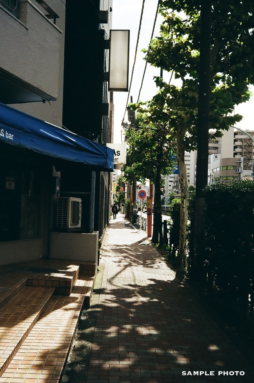 Olympus DC 35 with Deep Navy Leather