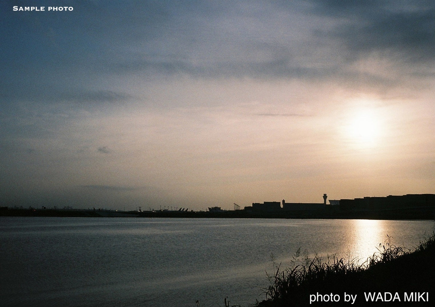 Olympus Trip 35 Vintage 35mm Film Camera | Wasabi Green