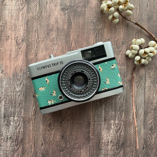 Olympus  TRIP35  with cat pattern green leather