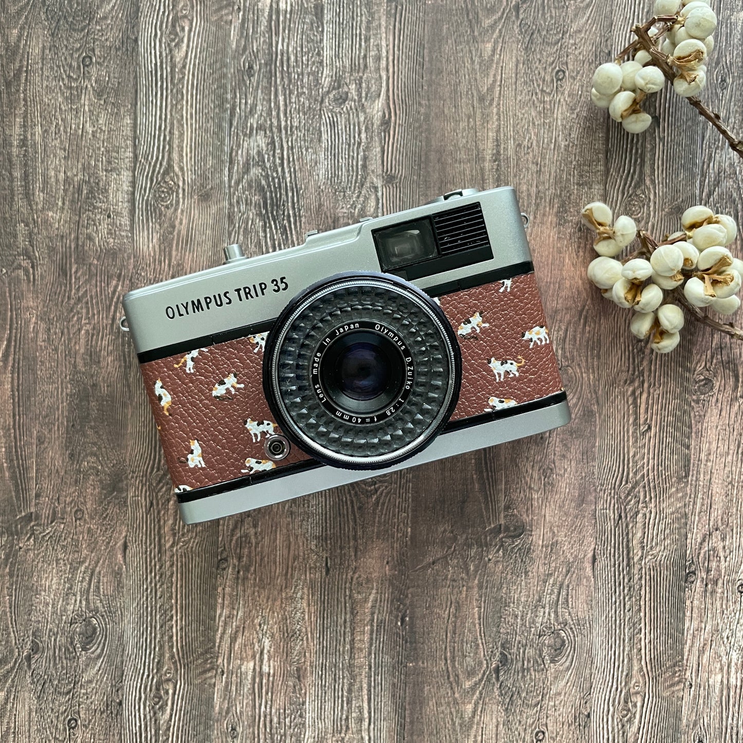Olympus  TRIP35  with cat pattern brown leather