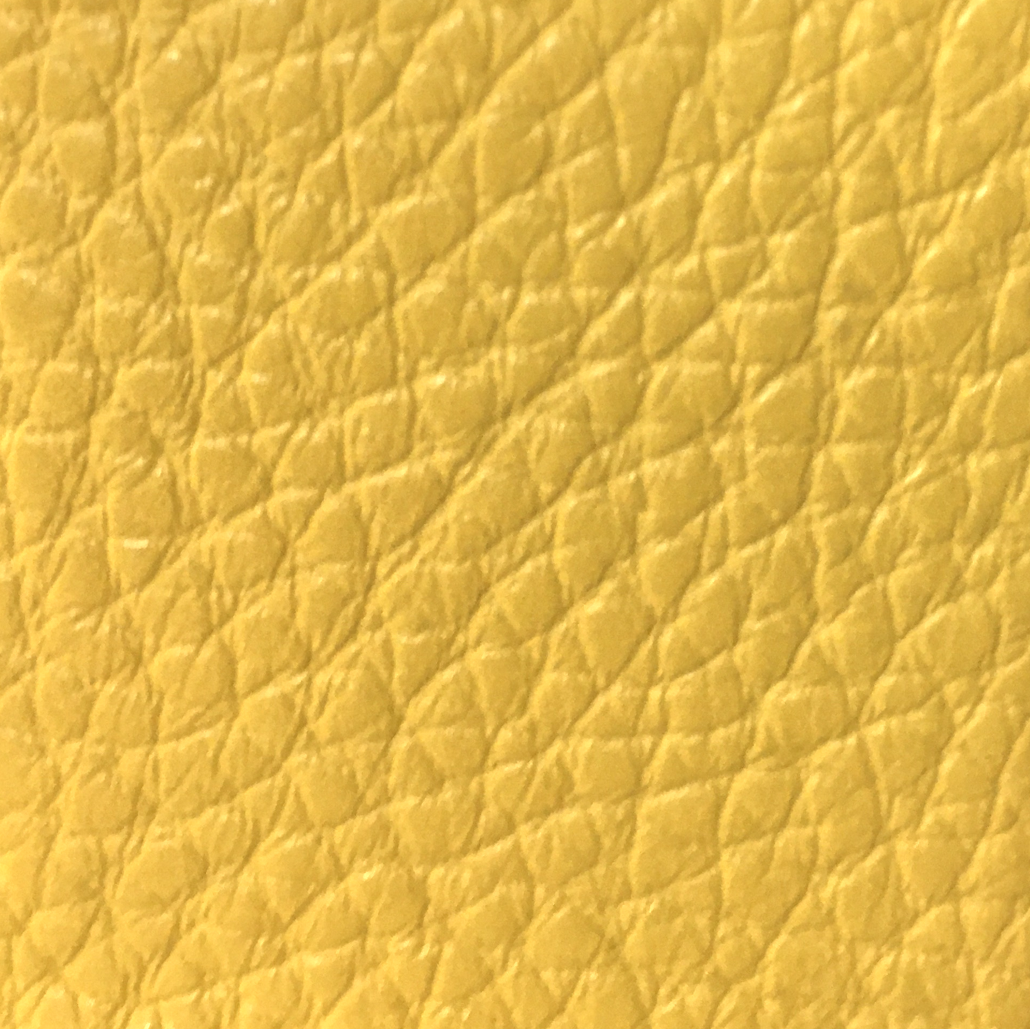 Olympus TRIP35  wtih lemon yellow leather